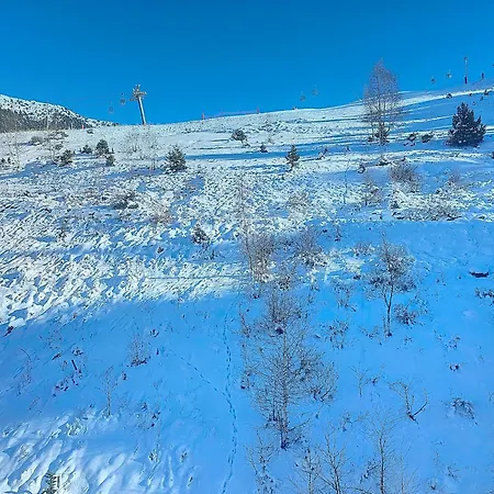 Appartement 1650 - Mountain View Snow Front 2s07 *
